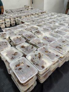 La Caravane de la Solidarité fait étape à Saint-André avec près de 1700 repas distribués.